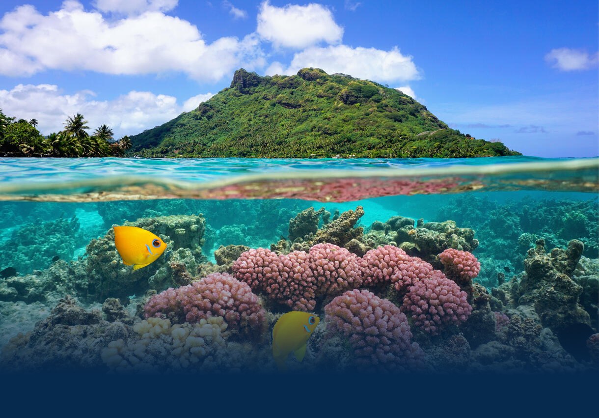 Lagon de Polynésie — vue mi-air mi-eau, Huahine